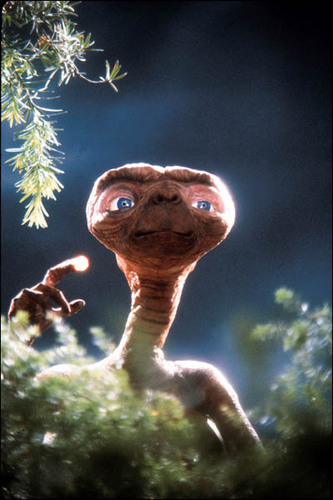 Gitano extraterrestre, licenciao en altos vuelos con naves nodrizas, amigo de mis amigos y me encanta camarón viva andalucia susprimikoa