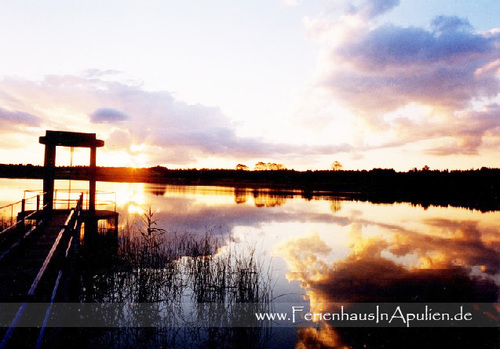 FewoMeerStrand's profile picture. Reiseführer für Ihren Urlaub im Salento (Apulien - Süditalien, Häuser zu vermieten, Ortschaften, lokale, Veranstaltungen). Deutschland und Süditalien im Herzen