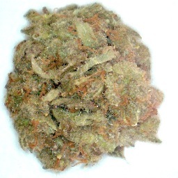 PC Caregivers provides its patients with high quality, green certified, award-winning medical marijuana - delivered in a fast, secure and discreet manner.