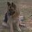 lorella213's profile image