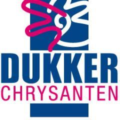 Grower of Disbud Chrysanthemum Rossano in six beautyful colours, Parker and Poker. Member of https://t.co/9debGq6Qhg The colourful collective