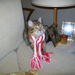 Español, comprometido, del Atlético de Madrid, por tanto,  siempre cabreado.