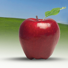 Nutrition in Motion