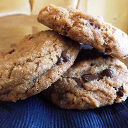 MrReluctant's profile picture. I am a real person.