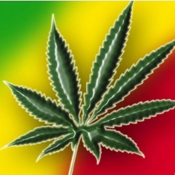 #FOLLOW TweetZ Bout Da Weed. 420 IS ALL DAY. LETS GET HIGH