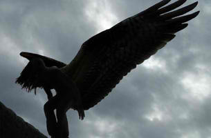 fang92014632's profile picture. hey im fang.im 2%avian and 98%human.im co-leader of my winged flock and at the moment max's boyfriend :D halla