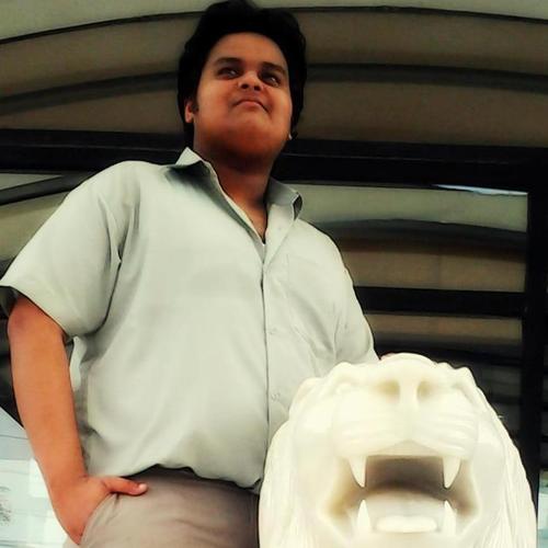 engineering student