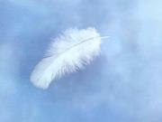 DEBSK14's profile picture. i,m a typical Aquarius...Co founder of ONE MORE SHOT I LOVE San Francisco..Big Sur  LFC, 49ers, music film n books ..dislikes liars, bullies, n hypocrites.