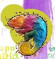 Politropia è il comitato provinciale arcigay di Rovigo!