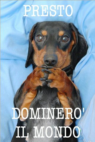 pumaluna79's profile picture. Sint ut sunt aut non sint (siano come sono o non siano). Motociclista vegetariana mangialibri.