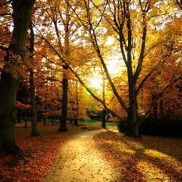 NicolettaGenni2's profile picture. 