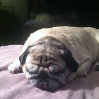 Jay Powers (@moxieland) 's Twitter Profile