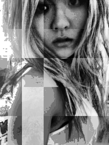 MajMey's profile picture. 