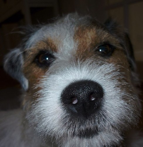 RichardBucklan2's profile picture. 