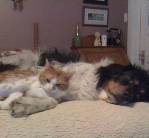 vscoma's profile picture. 