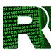 RVA Data Hackers (@datahackers) Twitter profile photo