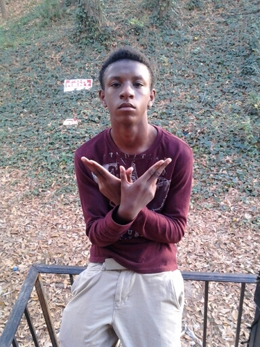A1ABG A1RO5 A1FBG BLATT BLATT