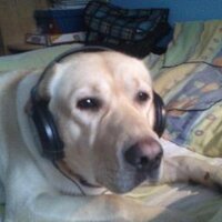 Konrad Karimi (@kondziuafro) 's Twitter Profile