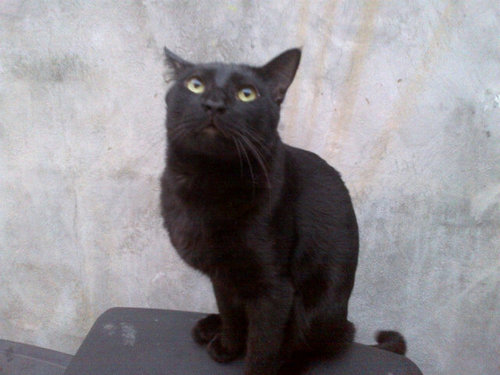 lbyanlara's profile picture. 