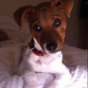 Alex Lavan - @tallullahh - Twitter