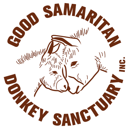 First Donkey Sanctuary in Australia. Registered Charity caring for neglected, unwanted, abused & surrendered donkeys since 1972. https://t.co/oZ58Ac17od