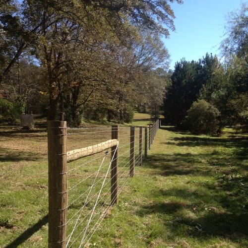 alanatapex's profile picture. 