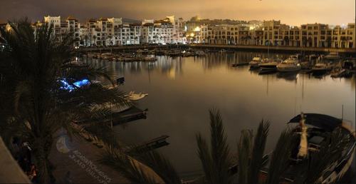 ezzahoum's profile picture. 