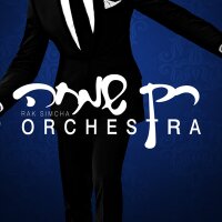 Rak Simcha Orchestra (@raksimcha) 's Twitter Profile