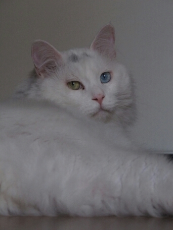 yufenator's profile picture. 