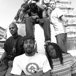 ciequalitystree's profile picture. 