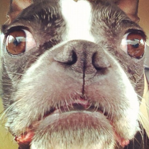 RandallProulx's profile picture. 