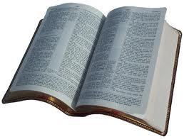 Thou shalt follow @NeonBibleTweets, and many chuckles will henceforth be had
-Saint Poseidon, 14:3.
