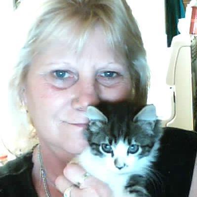 Pandabear1Kelly's profile picture. im a kind hearted person