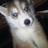 Dannavega2002's profile image