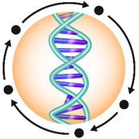 BioCyc&Pathway Tools (@biocyc) 's Twitter Profile