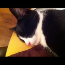 Debbie Clements - @debzclem - Twitter