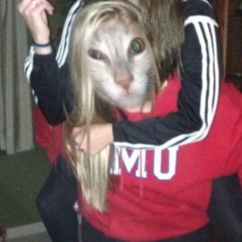 Da_real_kat's profile picture. more than just your average cat