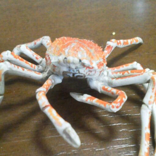 minaminayamacha's profile picture. 汁物⇒ティッシュこうじ⇒天然の澤井⇒組ちゃんオレ⇒いすでっかちゃん 浅草 漫才