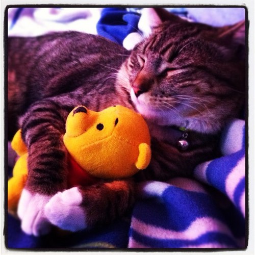 sol_martinez's profile picture. 