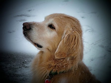 RonniMayer's profile picture. 