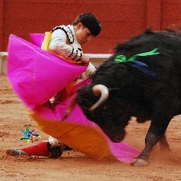 rafaeorellana's profile picture. Matador de toros, hijo, padre y esposo.