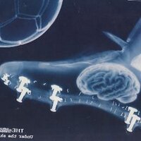 Stephen O'Kane (@stephenokane) 's Twitter Profile Photo