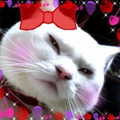 恵蘭 Keira999x999 Twitter