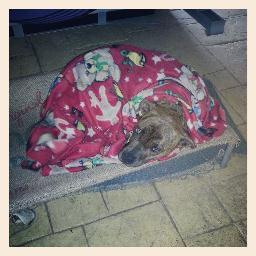 ren781's profile picture. 