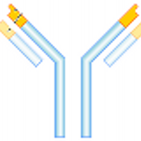 Ves Dimov, M.D. (@allergy) 's Twitter Profile