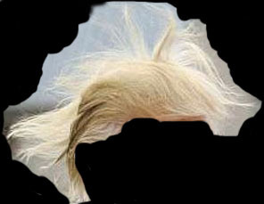 all we are is dust in the wind. proud #Resister. just because i am the rug on top of his head does not mean i stand with him. i hate the mofo!