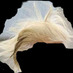 Mr. Hair (@donaldshair2012) Twitter profile photo Mr. Hair (@donaldshair2012) Twitter profile photo