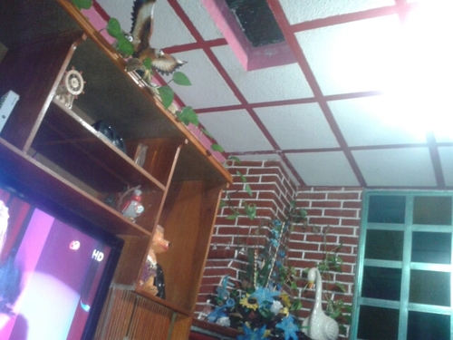 hbetosaurio's profile picture. 