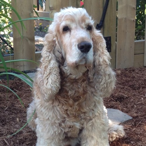 DavisDad18's profile picture. 