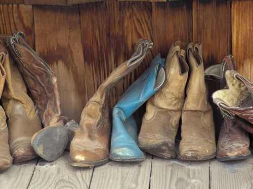 Green eyes blonde hair.Mizzou,country music, ATVs,boots ,boys,and of course MUD !#teamfollowback